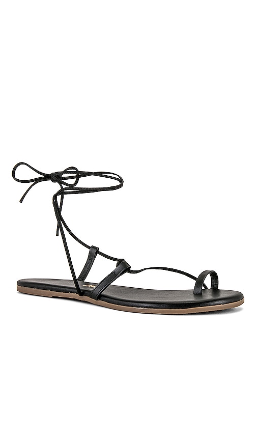 Shop Tkees Jo Sandal In Bleeker