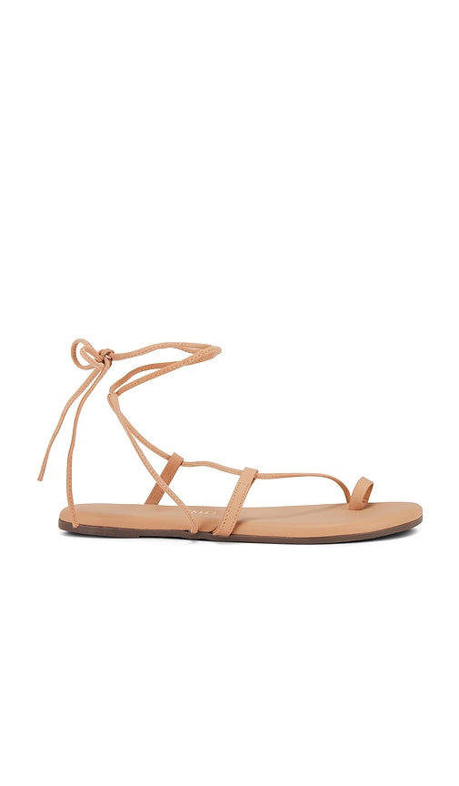 Shop Tkees Jo Sandal In Purdy