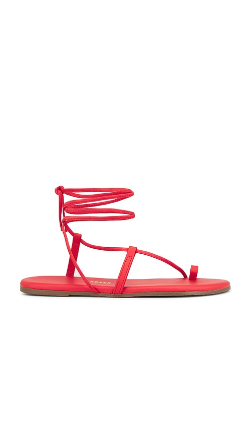 SANDALES JO in . Size 11, 5, 6, 7, 8, 9 - TKEES - Modalova