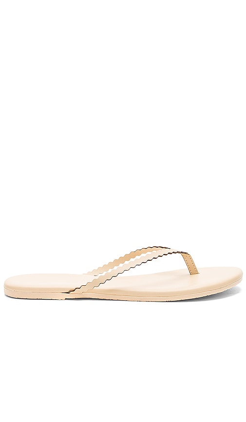 tkees scalloped flip flops