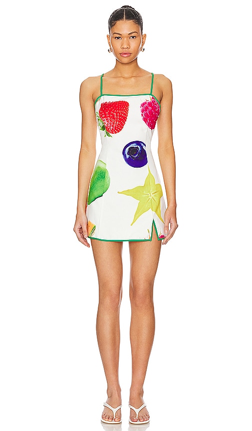 Tyler McGillivary Fruit Basket Dress in Fruit Basket