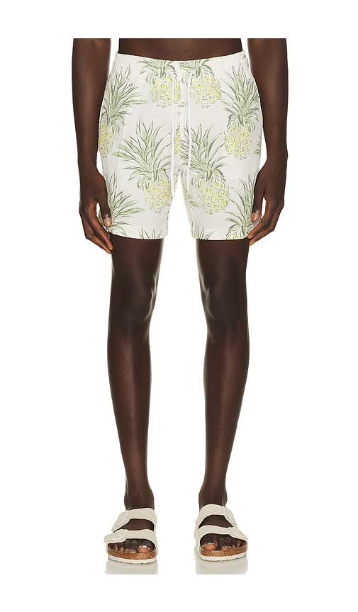 Trunks Surf & Swim Co. Sano 6.5 Swim Short