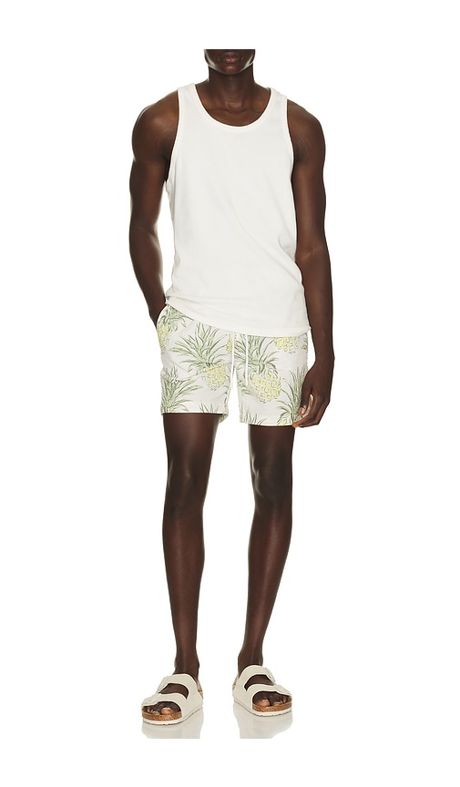  Trunks Surf & Swim Co. Badeshorts Sano In Green,white. Größe S. Also In M, L, Xl/1x. 