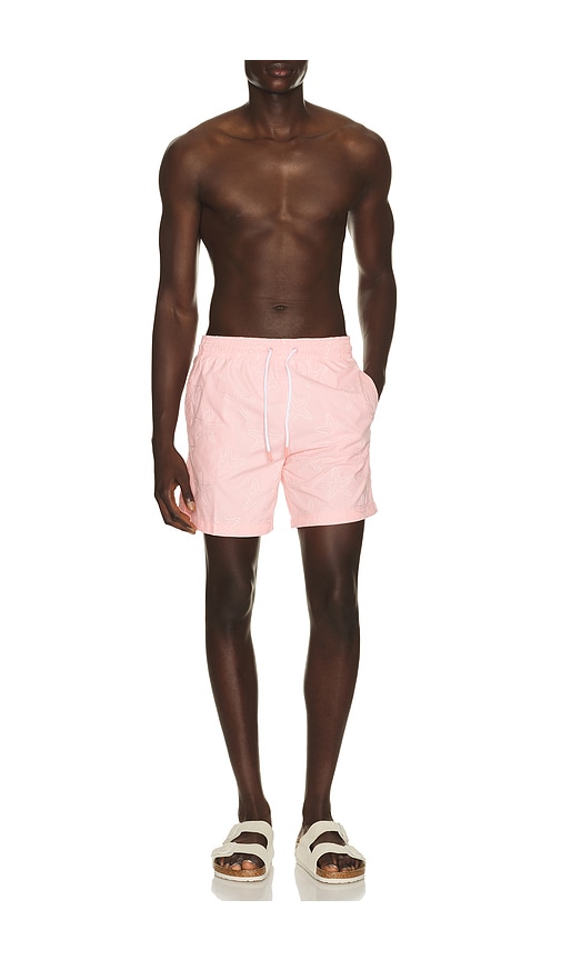  Trunks Surf & Swim Co. Badeshorts Sano In Pink. Größe S. Also In M, L, Xl/1x. 