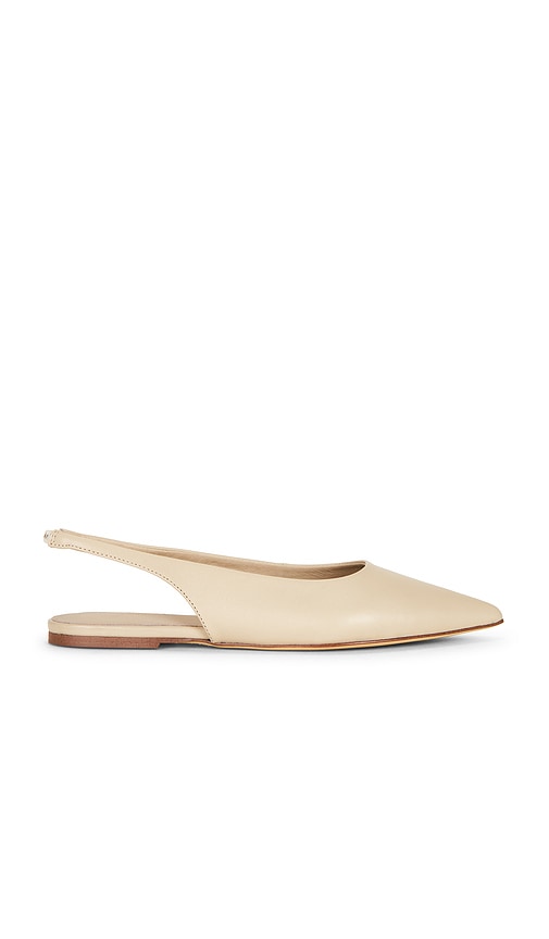 Javier Flat