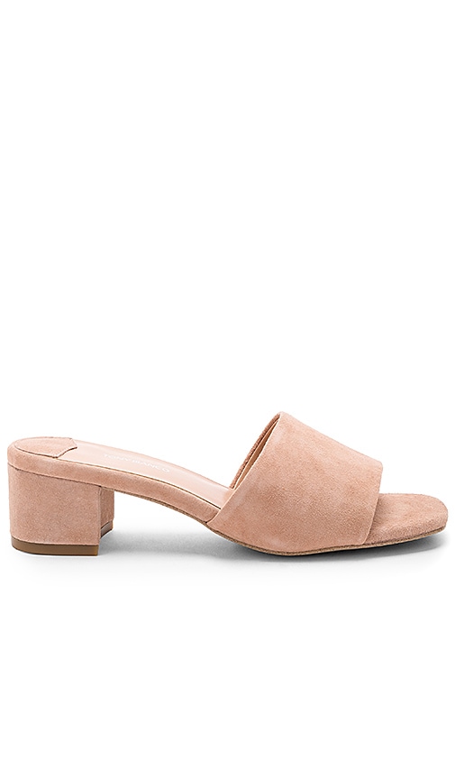 trimme Tid dommer Tony Bianco Mae Mule in Blush Kid Suede | REVOLVE
