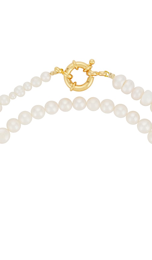  Timeless Pearly Shelly Necklace In White. 