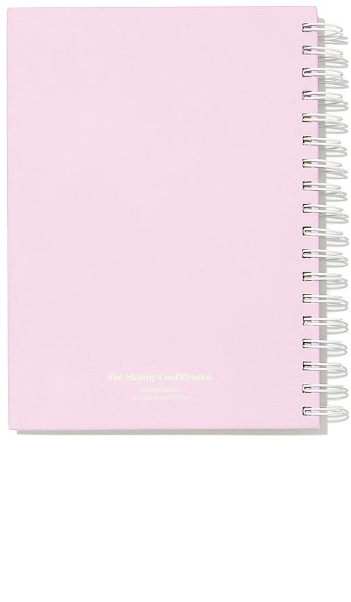 Shop The Skinny Confidential Hot Minute Planner In N,a