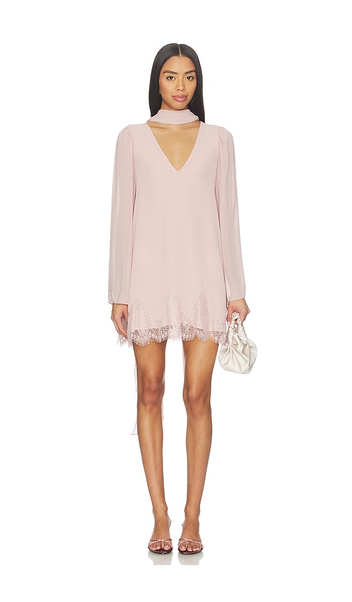 black long sleeve mesh mini dress Greyson Mesh Panel Mini Dress – VICI