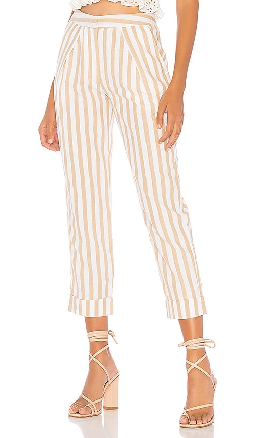 Aimee Pant