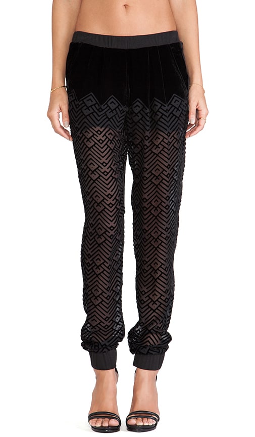 Jogger Pants
