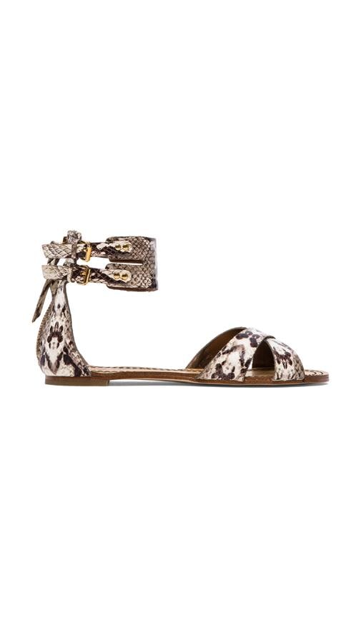 Laura Snake Gladiator Sandals