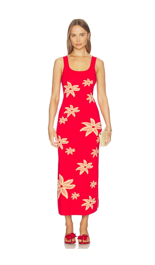 The Wolf Gang Aggie Maxi Dress