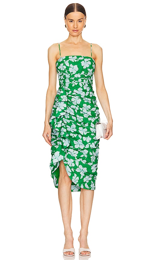 Shop Amur Olly Ruched Midi Dress In Frog Flower