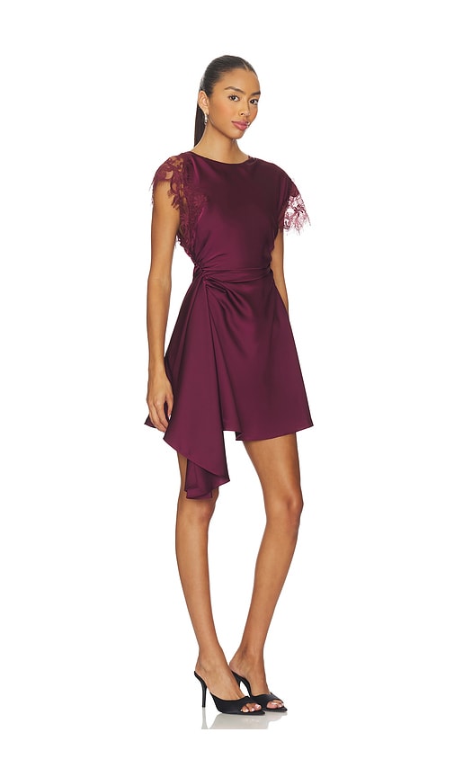 Amur Zina Ruched Mini Dress Pinot Noir In Burgundy