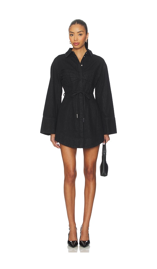 AMUR Clea Denim Day Dress