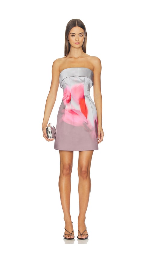 Zelie Mini Dress in Grey. - size 8 (also in 00, 0, 2, 4, 6, 10, 12)