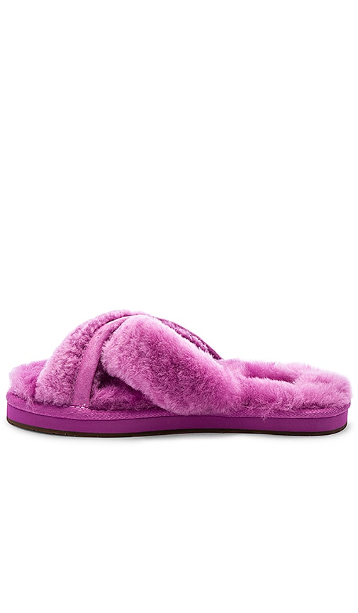 ugg slippers bodacious