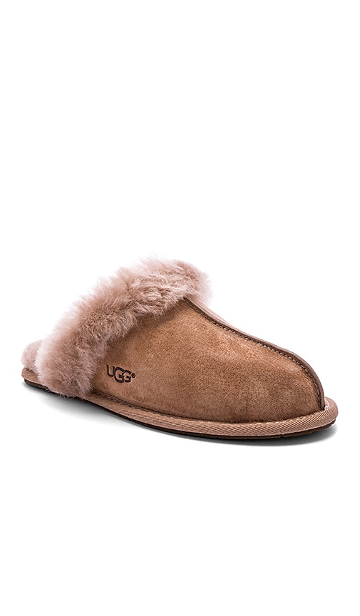 ugg scuffette fawn slippers