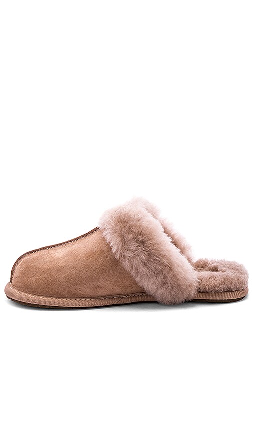 ugg scuffette fawn