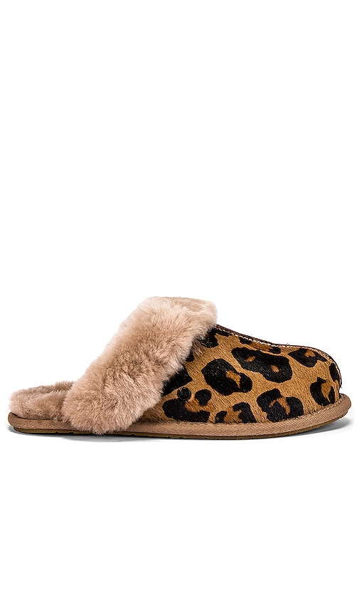 ugg animal print slippers