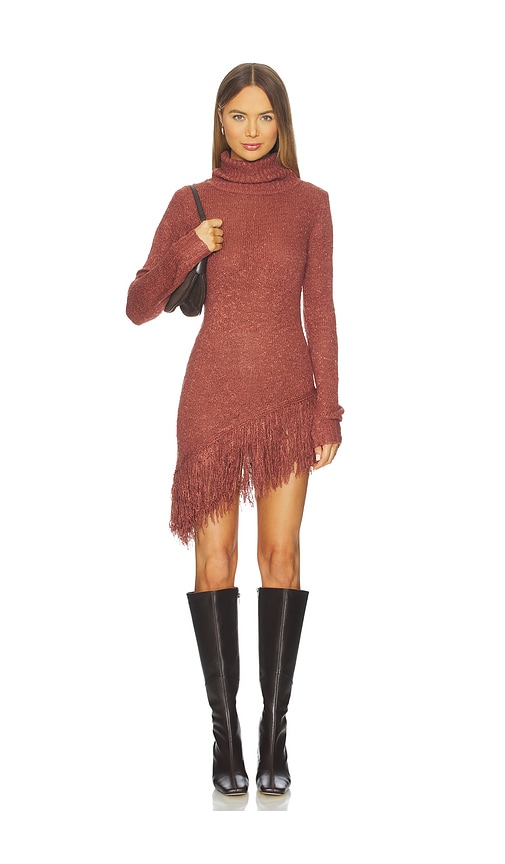 Understated Leather Whole Lotta Trouble Dress In Brown