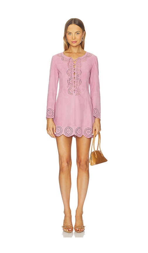 Understated Leather Cobain Dress In Pink