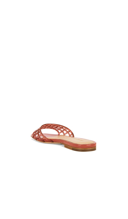  Veronica Beard Jelly-sandalen In Persimmon Maris In Orange. Größe 5.5. Also In 6.5. 