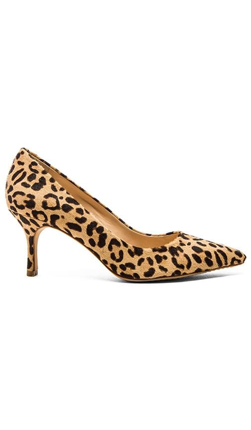 Vince Camuto Vivienne Cor Hair Heel in Leopard | REVOLVE