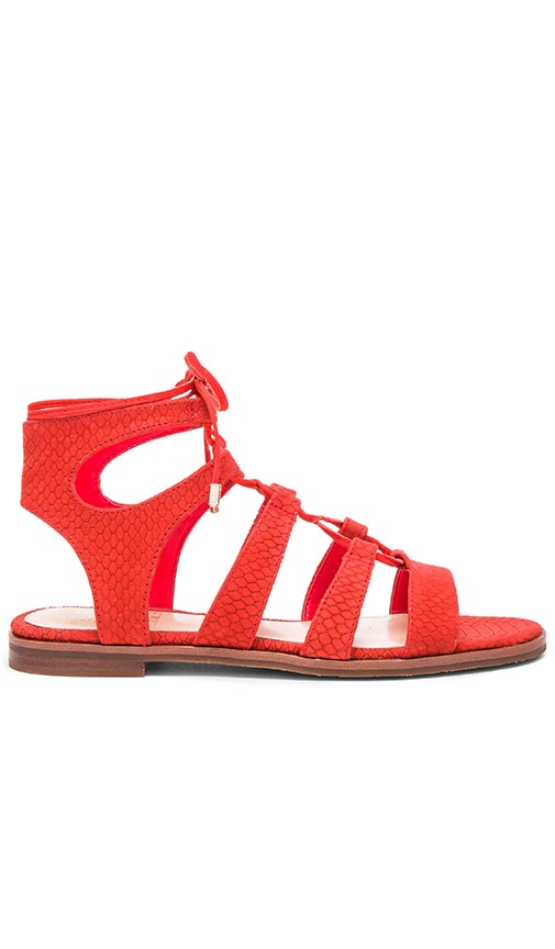 Vince Camuto Tany Sandal in Juicy | REVOLVE
