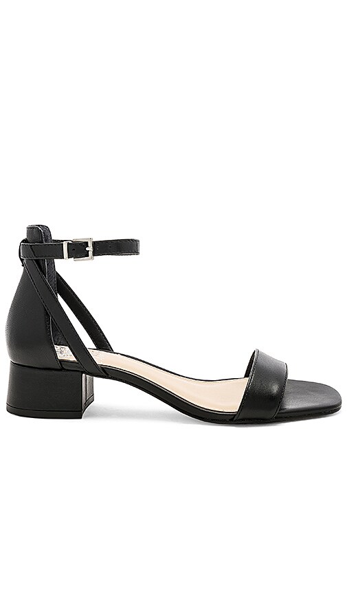 sasseta sandal vince camuto