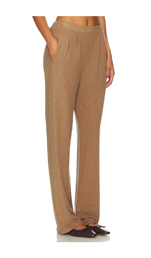 Velvet By Graham & Spencer Eliya Pant In Brown
