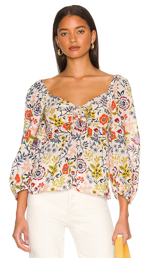 Velvet by Graham & Spencer Stass Top in Meadow