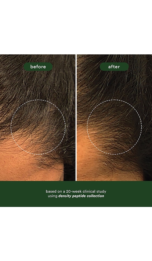  Verb Density Peptide Shampoo 12oz In Beauty: Na. 