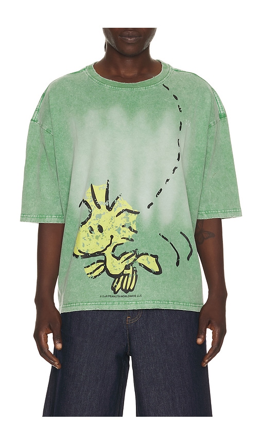 Vintage Heavy x Peanuts Woodstock Tee
