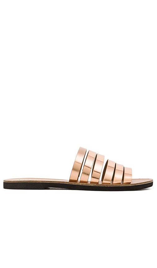 Carolina Sandal
