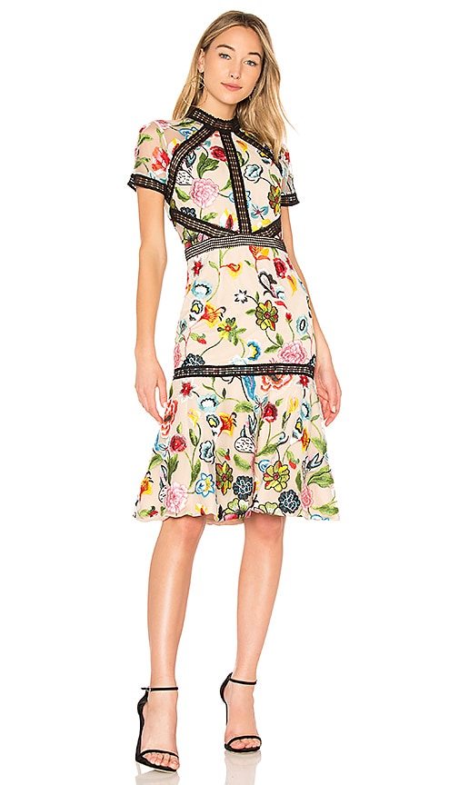 vone lace midi dress