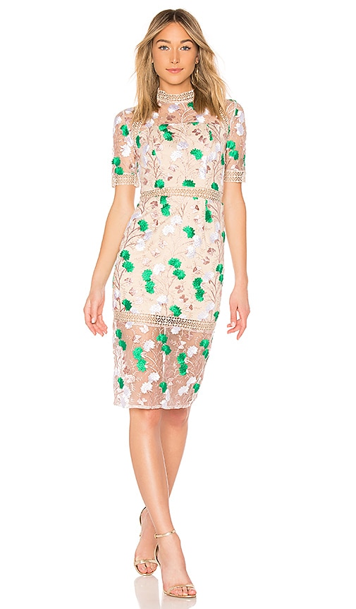 VONE Mira Dress in Blush Floral Embroidery | REVOLVE