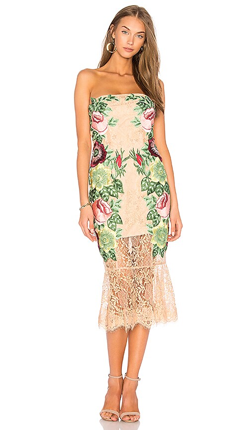 vone lace midi dress
