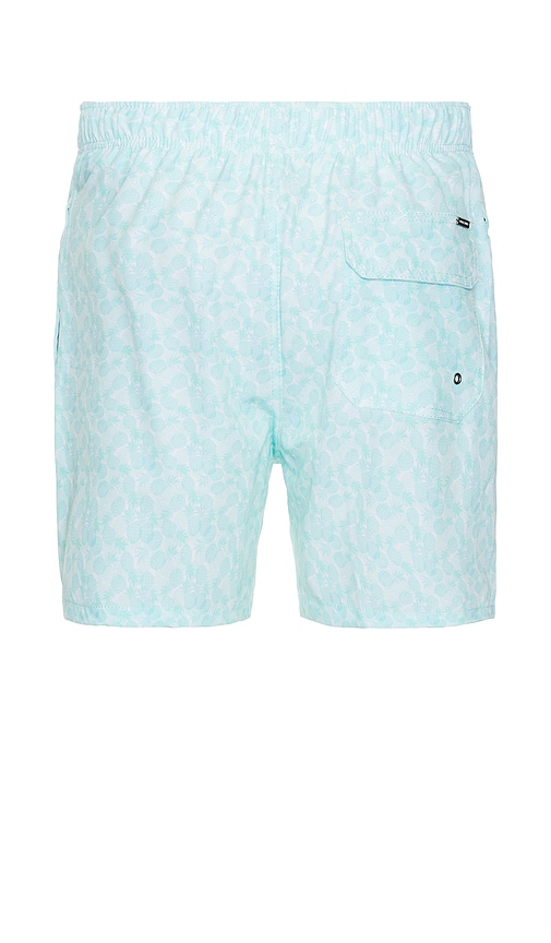 Shop Vintage Summer 4 Way Stretch Volleys Swim Short In 薄荷色