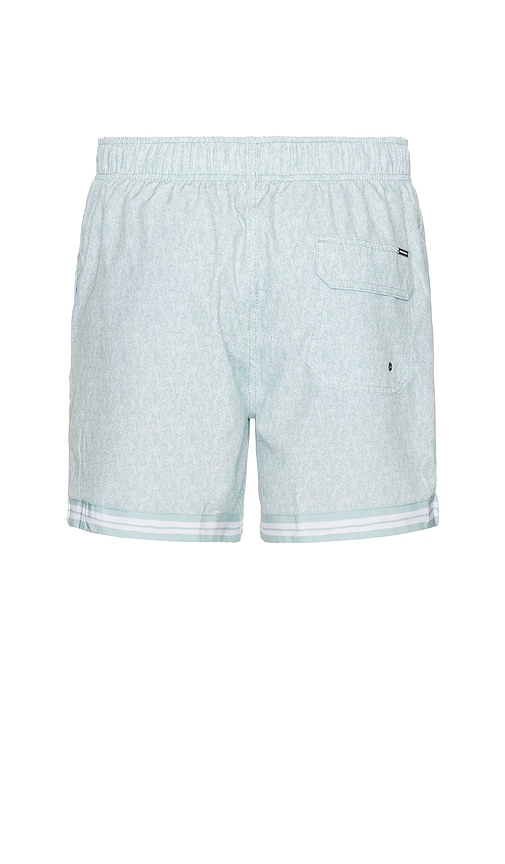 Shop Vintage Summer 4 Way Stretch Swim Shorts In Green