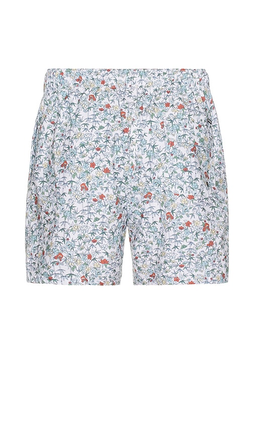 4 Way Stretch Swim Shorts in Blue. - size XL/1X (also in S)