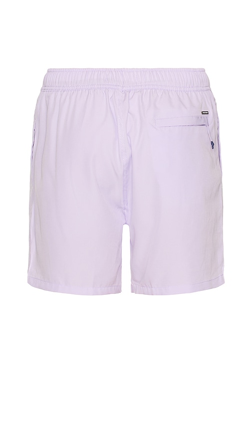 Performance Stretch Lined Swim Shorts in Purple. - size XXL/2X (also in L, M, S, XL/1X)