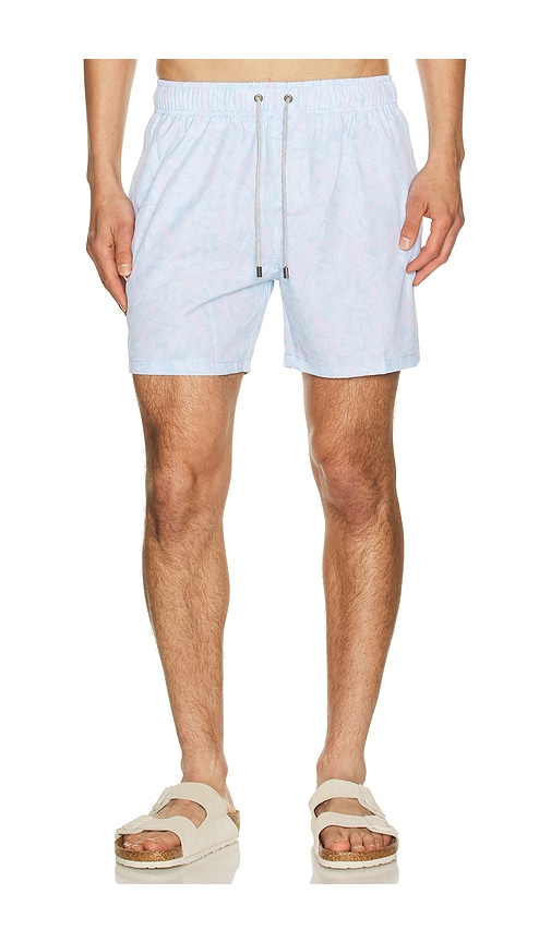 Vintage Summer 4 Way Stretch Volleys