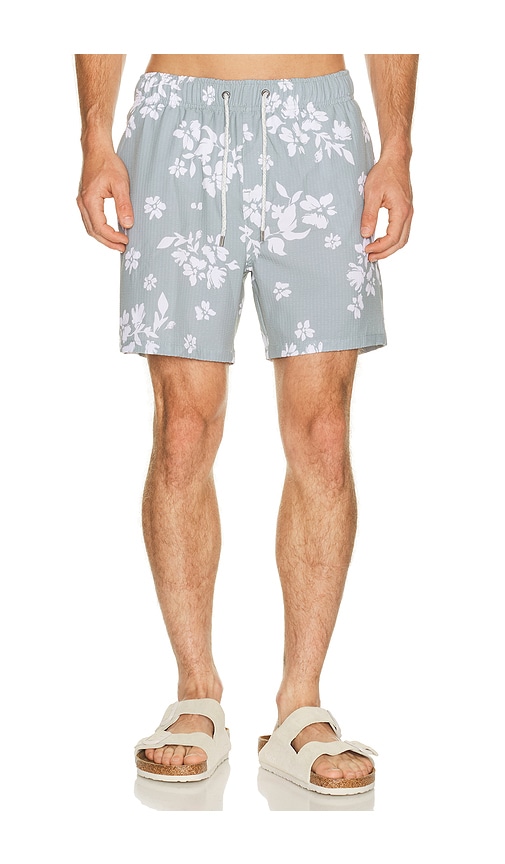 Vintage Summer Seersucker Strech Volley Swim Trunks