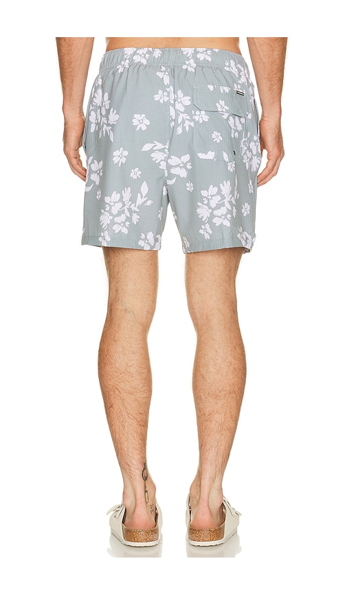 Vintage Summer Seersucker Strech Volley Swim Trunks | Thumbnail 2