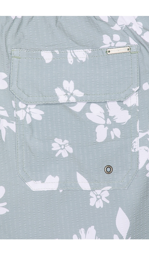 Vintage Summer Seersucker Strech Volley Swim Trunks | Thumbnail 5