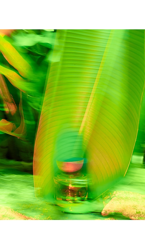 Vyrao Mini Woo: I Am Verdant Eau De Parfum In Green