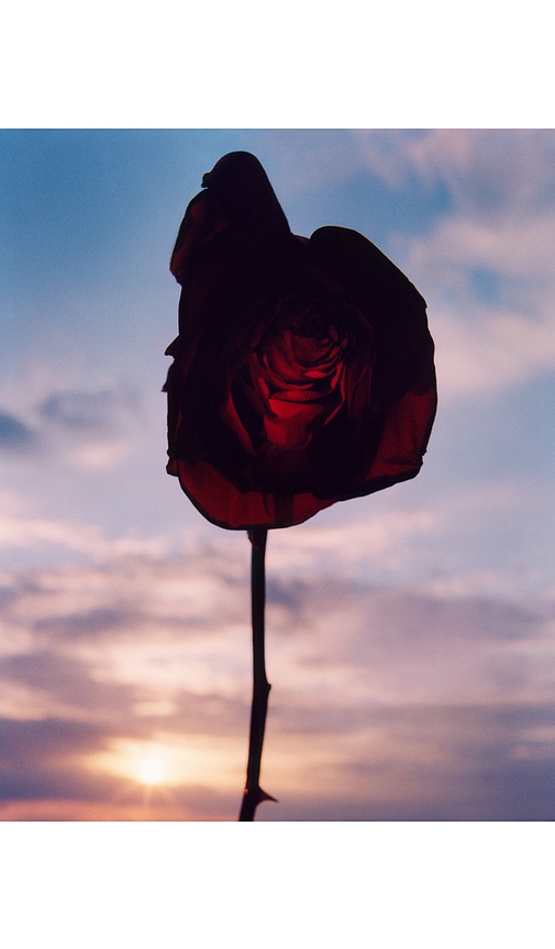 Vyrao Georgette Eau De Parfum In Multi