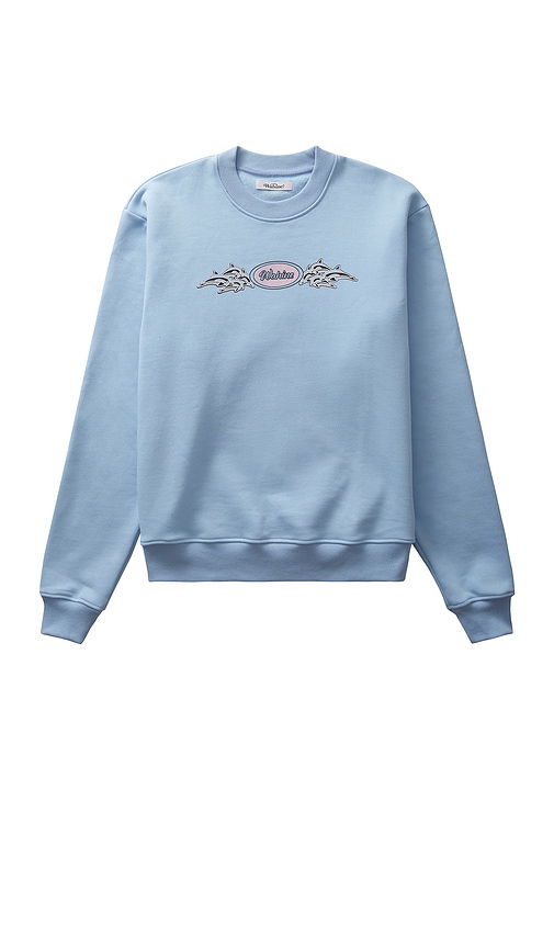 Dolphin sweater shops